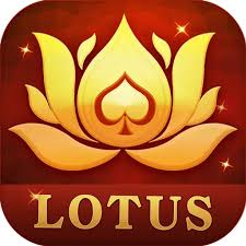 rummy earn app download download